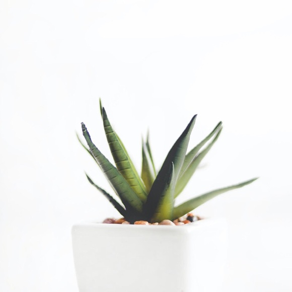 ... - Picture 1 of 1